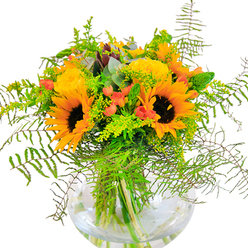 The first impression of this lush bouquet is pure, sunny exuberance-a Bow-crafted gathering that channels the vibrant energy of the local community into every carefully chosen flower. Bold sunflowers dominate, their brilliant yellow petals unfurling in generous rings around deep brown centers, reminiscent of the golden afternoons in local parks. Amid these radiant blooms, tightly layered yellow roses reveal spirals of petals, a nod to timeless elegance and celebration. Threaded throughout, clusters of red hypericum berries stand out with gleaming intensity, like scattered jewels glinting in the sun. Slender spikes and sprays of greenery, including feathery fern and possibly delicate goldenrod, arc gracefully outward, anchoring the rich yellows and offering moments of gentle movement-much like a breeze rustling through Bow's green open spaces. Subtle eucalyptus leaves, softly bluish-green, bring an extra note of freshness and depth to the design. All the stems are artfully gathered in a clear round vase, reminiscent of glassware displays at Bow's artisan stores, allowing the bright greens to shimmer in water and granting a clean, modern air. The bouquet offers not only visual splendour but evokes a sense of local pride and celebration-ideal for gifting on birthdays, new beginnings, or any milestone occasion that calls for a touch of radiant happiness in East London.